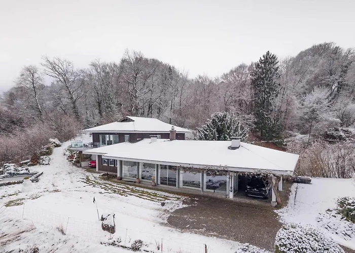 Spacious And Mountain View - 15 Min To Interlaken Spiez